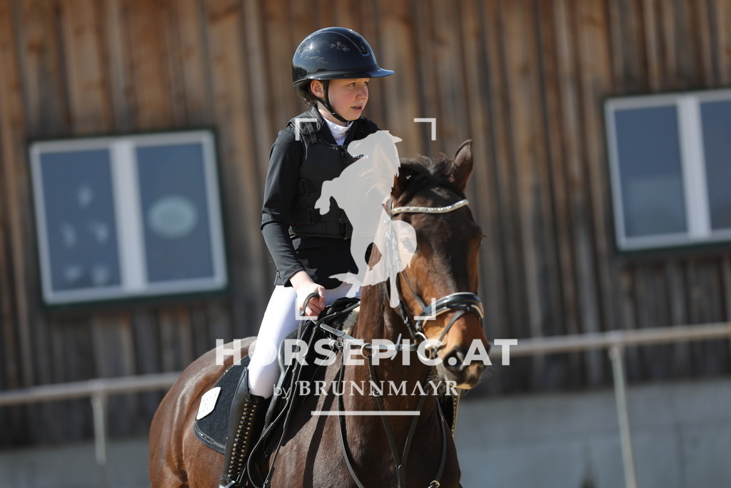 0P6A6949 | Willkommen bei Brunnmayr - Design & Fotografie – Ihrem Spezialisten für Reitturniere und Pferdeveranstaltungen in Oberösterreich, Salzburg und Bayern! Seit über 17 Jahren sind wir leidenschaftlich dabei.