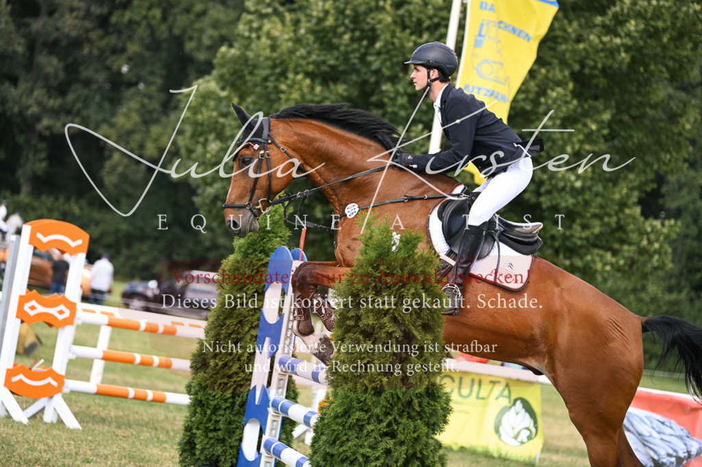 DSC_1006 | Pferde- und Turnierfotografie in Westsachsen. Pferdeportraits, Auftragszeichnungen und intuitive Kunst.