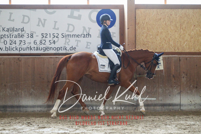 DKP44321 | Turniersportfotografie; Pferdefotografie; Dressurfotografie