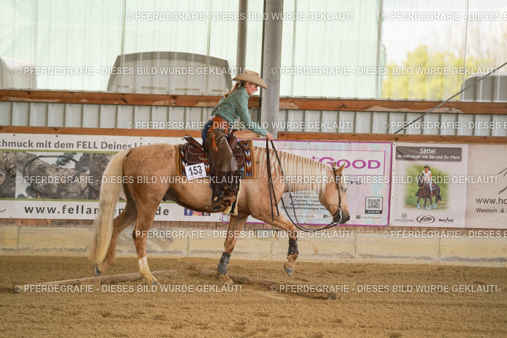 DSC07098 | Pferdegrafie