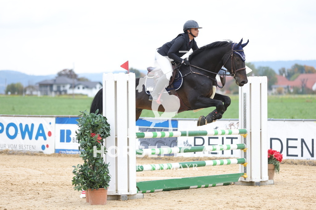 0P6A2896 | Willkommen bei Brunnmayr - Design & Fotografie – Ihrem Spezialisten für Reitturniere und Pferdeveranstaltungen in Oberösterreich, Salzburg und Bayern! Seit über 17 Jahren sind wir leidenschaftlich dabei.