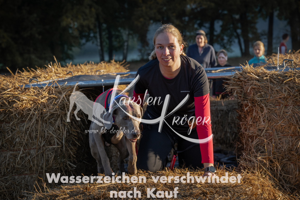 0908_ZZ91573 | kk-dogfotos