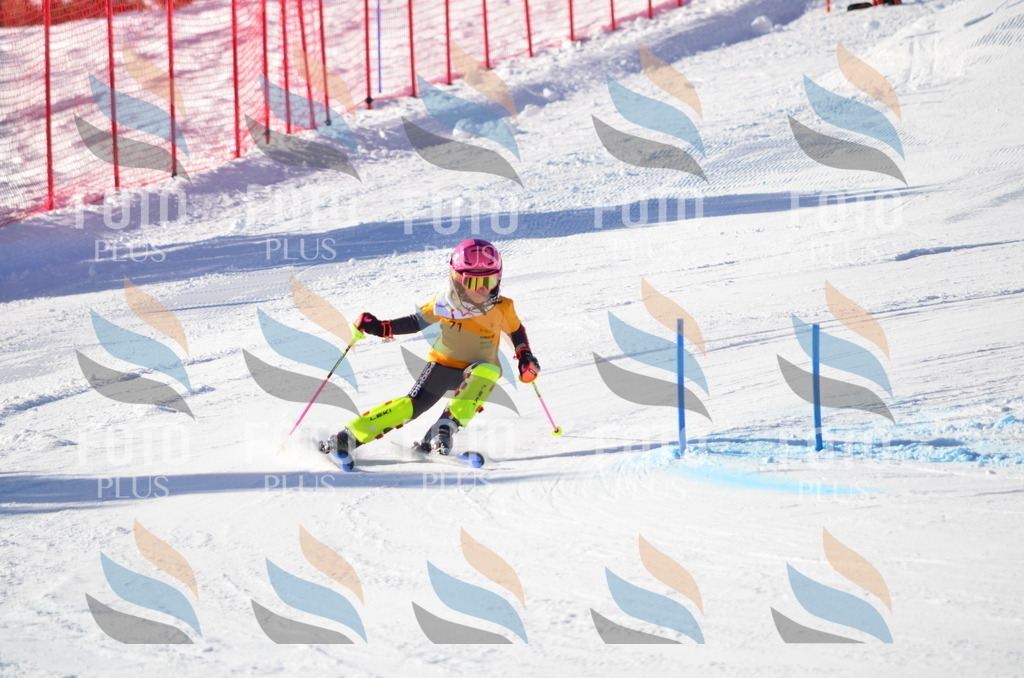 C5885 | holidayphoto