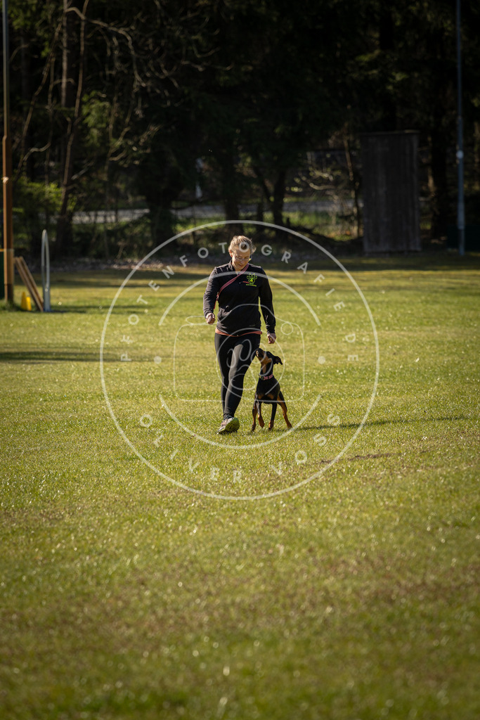 Pfotenfotografie_DV3A0283 | Hundefotografie, Tierfotograf, Pfotenfotografie, Fotoshooting Hund, Hunde Portrait, Hundesport, Hundeportraits, Heideshooting, Hunde, Sportfotograf, Hundefotograf, Turnierhundsport, THS,  - Realisiert mit Pictrs.com