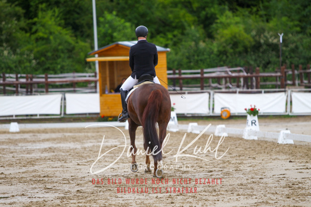 DKP47034 | Turniersportfotografie; Pferdefotografie; Dressurfotografie