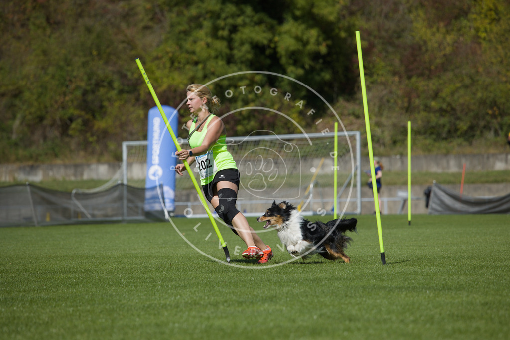 0L8A5802 | Hundefotografie, Tierfotograf, Pfotenfotografie, Fotoshooting Hund, Hunde Portrait, Hundesport, Hundeportraits, Heideshooting, Hunde, Sportfotograf, Hundefotograf, Turnierhundsport, THS,  - Realisiert mit Pictrs.com