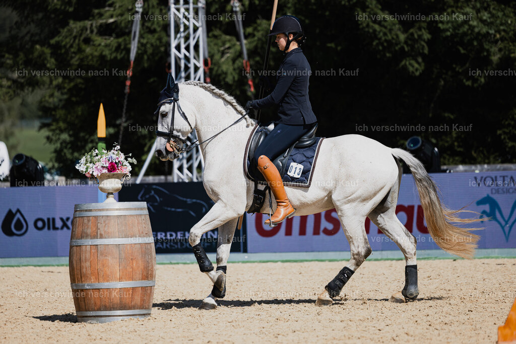 Svea13FHC2025-27364 | working equitationturnier fotograf videograf stoibphotography marixx film working equitation deutschland reitsport turnierfotografie eventfotografie equestrian events