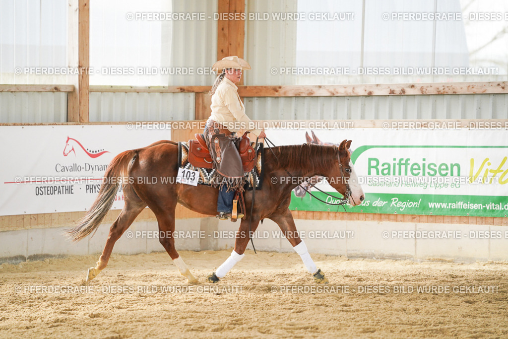 DSC06293 | Pferdegrafie