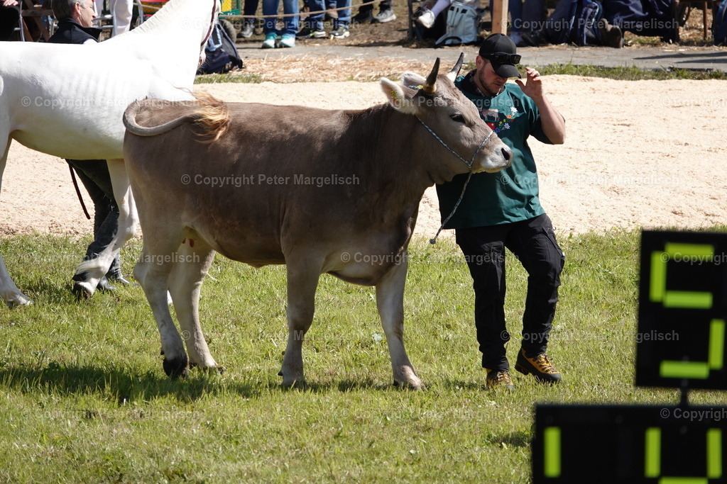 DSC02440 | Schwingen - Realisiert mit Pictrs.com