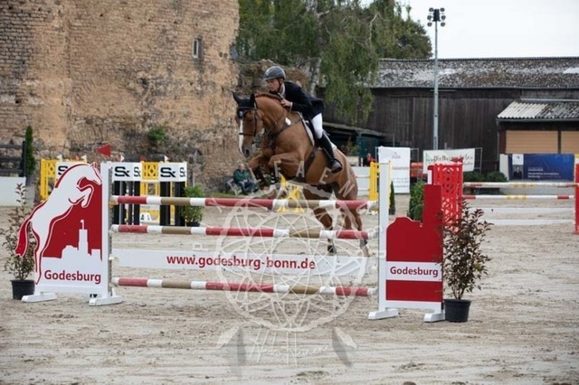 2B4A2400 | pixelfaenger - Realisiert mit Pictrs.com