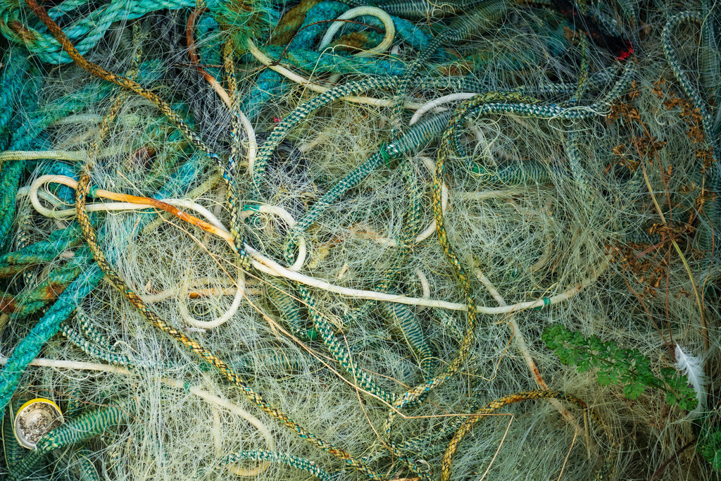 2025_03_28_OSTSEE-KAPPEL+MASSHOLM+QUERN_MCP7843 | Hochwertig gedruckte Fotografien für die Wand, als Kalender und zum Verschenken. Hamburg & Norddeutschland und überall wo ich mit der Kamera unterwegs war.