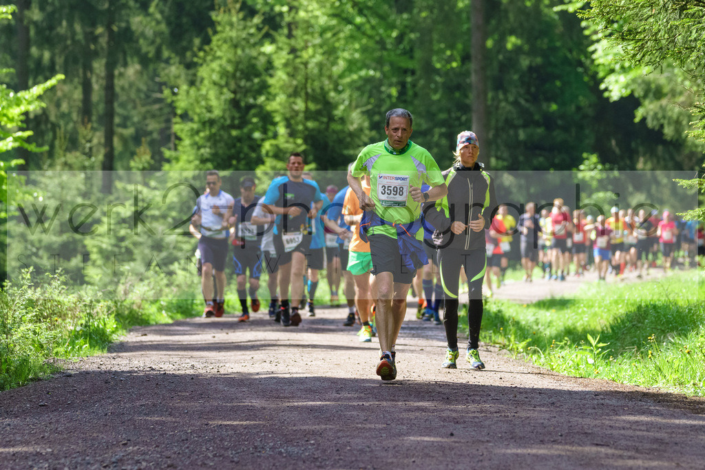 Rennsteiglauf 2017 | Neuhaus/Rwg. - Schmiedefeld am 19. Mai 2017