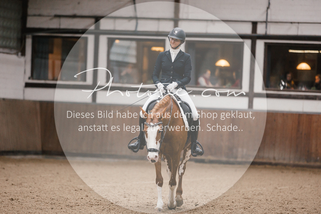 3I6A6448 | Stimmungsvolle Portraits und Reitsportfotografie im Ruhrgebiet und im Münsterland.

Pferdefotografie, Hundefotografie, Tierfotografie, Reportagen, Portraits von Tier und Mensch, Turnierfotografie in Bochum, Recklinghausen, Marl, Haltern am See, Dülmen.. - Realisiert mit Pictrs.com
