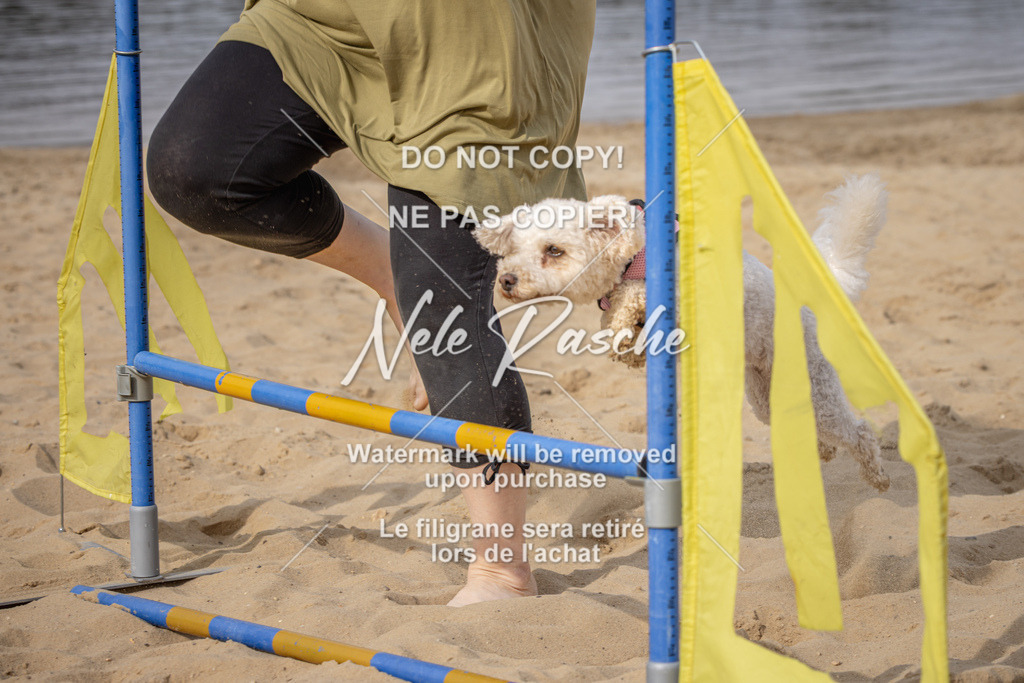 nelerasche_BuHu2026_So09-10_58 | nelerasche