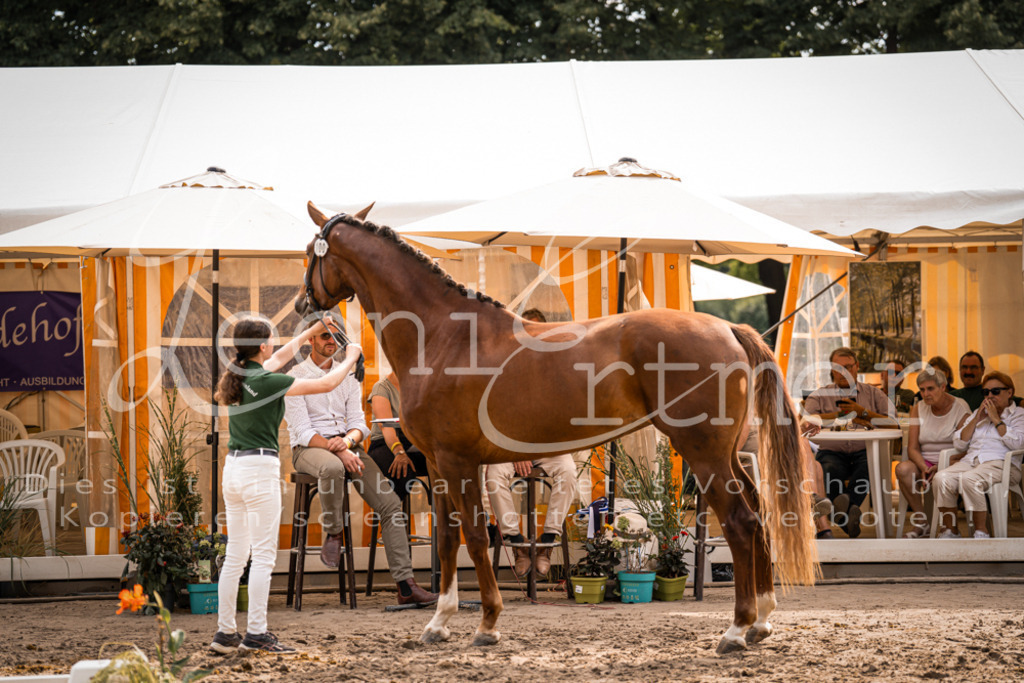 7.Fr00067 | Leoni Ertmer Photography - Realisiert mit Pictrs.com