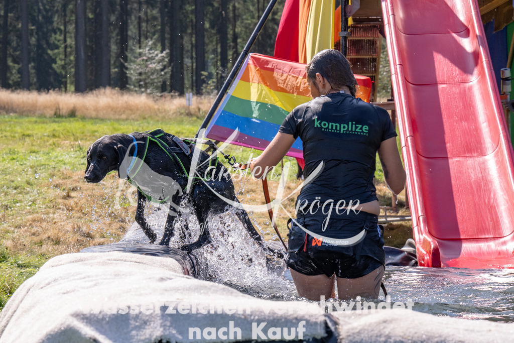 1207_ZZ90819 | kk-dogfotos