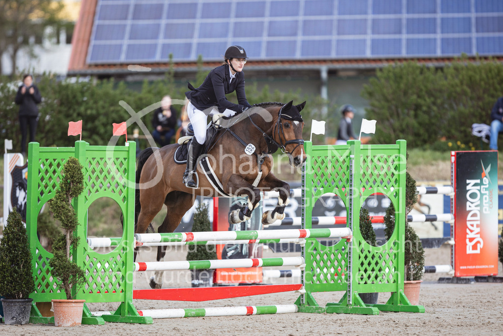 250419_Frühlingsfest_A-Stil1-464 | Deine schönsten Turniermomente als professionelle Fotos! Entdecke hochwertige Pferdesport-Fotografie im Online-Shop. Jetzt Fotos finden & bestellen!