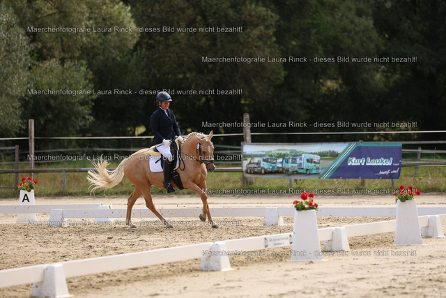 HG9A1542 | laurarinckfotografie - Realisiert mit Pictrs.com