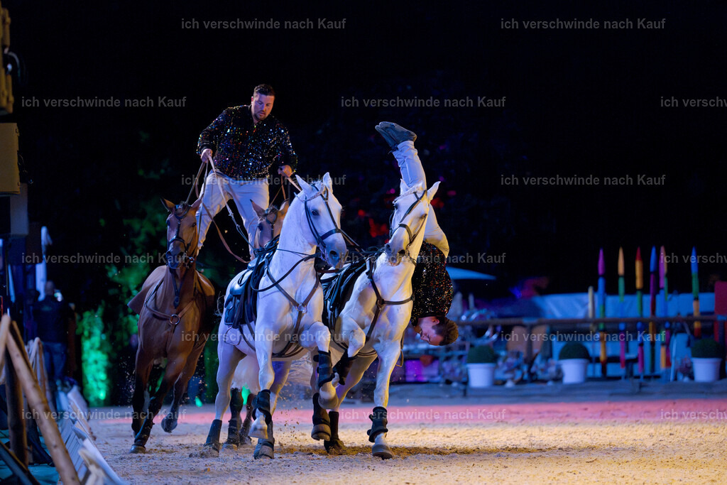 Gala-366 | working equitationturnier fotograf videograf stoibphotography marixx film working equitation deutschland reitsport turnierfotografie eventfotografie equestrian events