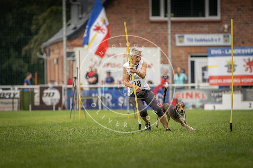 Pfotenfotografie_DV3A8161 | Hundefotografie, Tierfotograf, Pfotenfotografie, Fotoshooting Hund, Hunde Portrait, Hundesport, Hundeportraits, Heideshooting, Hunde, Sportfotograf, Hundefotograf, Turnierhundsport, THS,  - Realisiert mit Pictrs.com