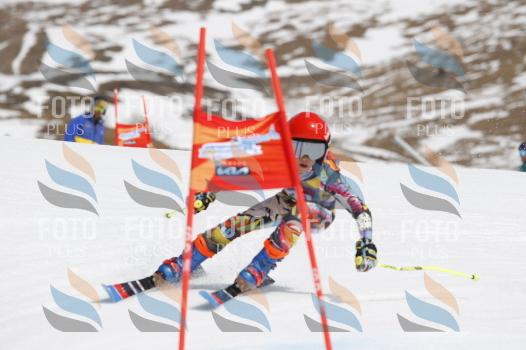 _U3G2223 | holidayphoto