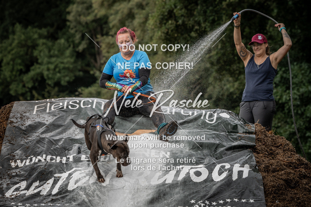 nelerasche_Wingst_Sa1300-1330_77 | nelerasche