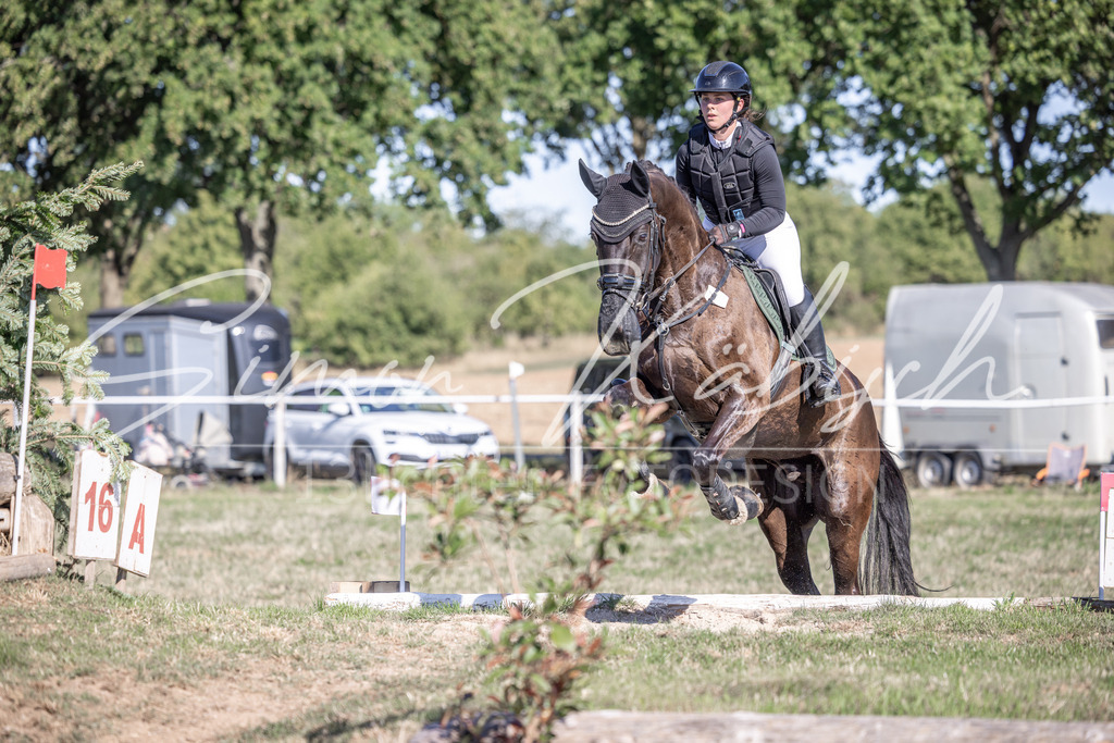 20260906-_3LI2100 | Tierfotografie Pferde, Hunde, Katzen, Haustiere.
Turnierfotografie Reitturniere, Reiten, Springreiten, Dressur in Hanau, dem Main-Kinzig-Kreis und dem Rhein-Main- Gebiet um Frankfurt