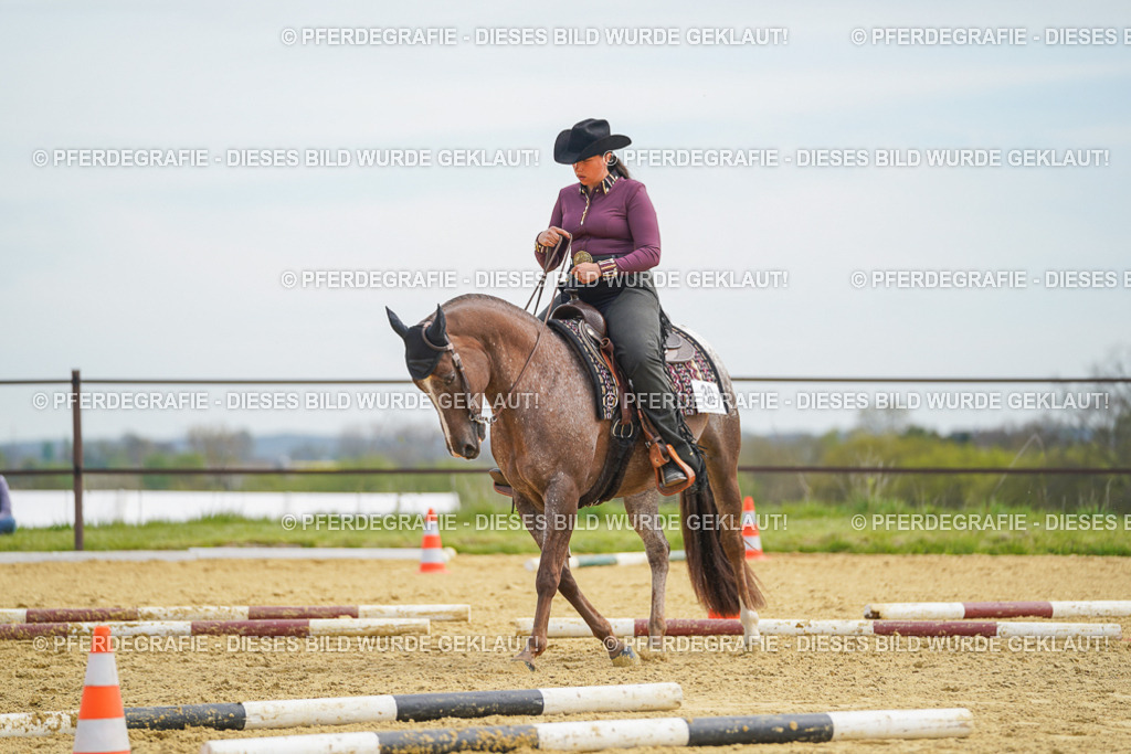 DSC03516 | Pferdegrafie