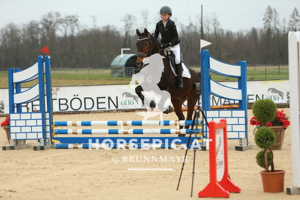DL2Q0997 | Willkommen bei Brunnmayr - Design & Fotografie – Ihrem Spezialisten für Reitturniere und Pferdeveranstaltungen in Oberösterreich, Salzburg und Bayern! Seit über 17 Jahren sind wir leidenschaftlich dabei.