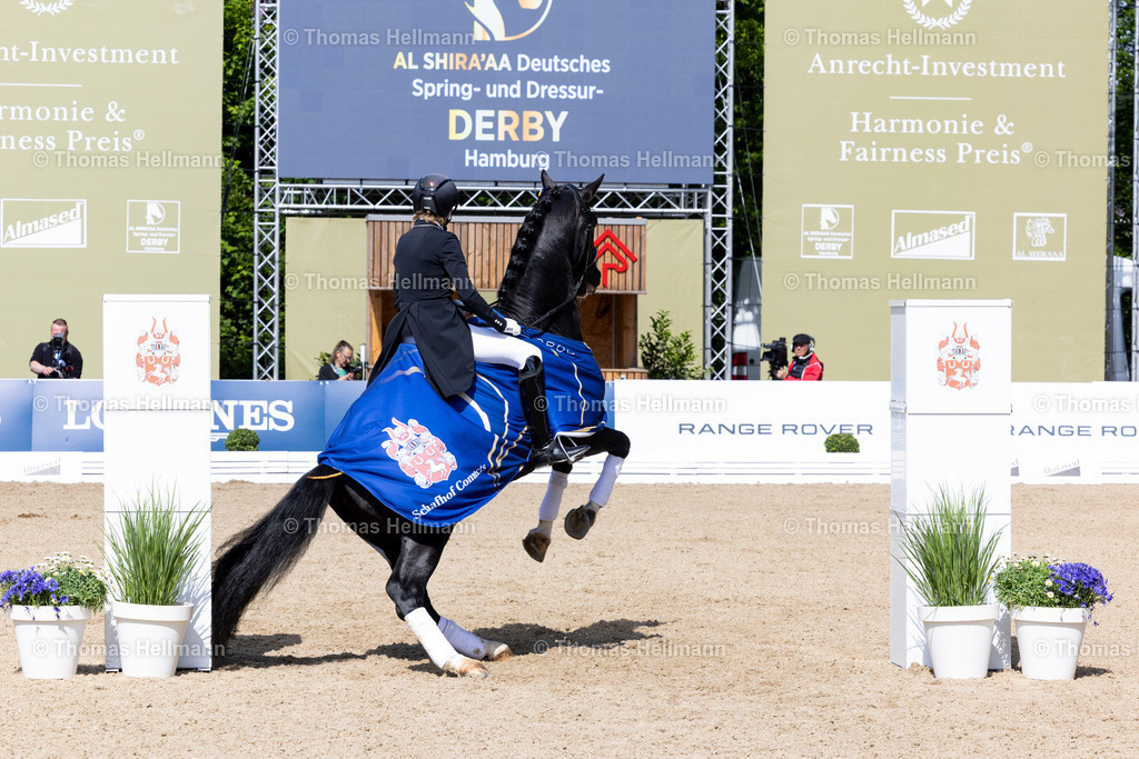 TH_447-KLIMKE Ingrid (GER)_ Oneofakind OM_37656 | Deutsches Spring- und Dressur-Derby 2026 am 15.05.26 in Hamburg, 447KLIMKE Ingrid (GER), Oneofakind OM