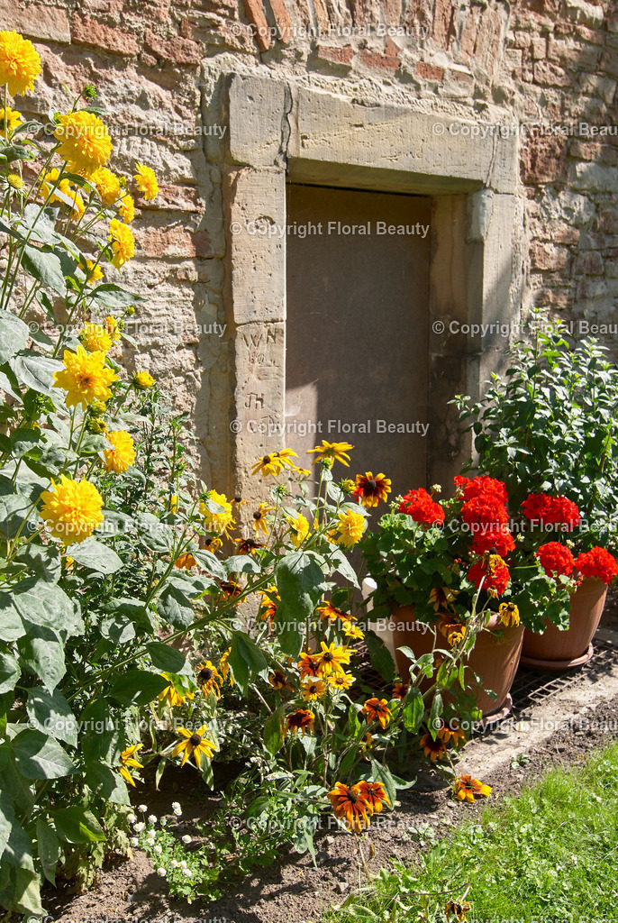 Alte Mauer | Blumen vor alter Mauer - Realisiert mit Pictrs.com