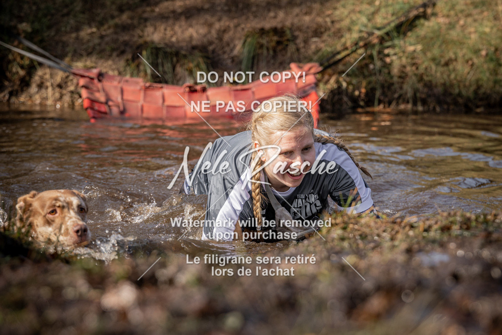 nelerasche_FS1330-1400_360 | nelerasche