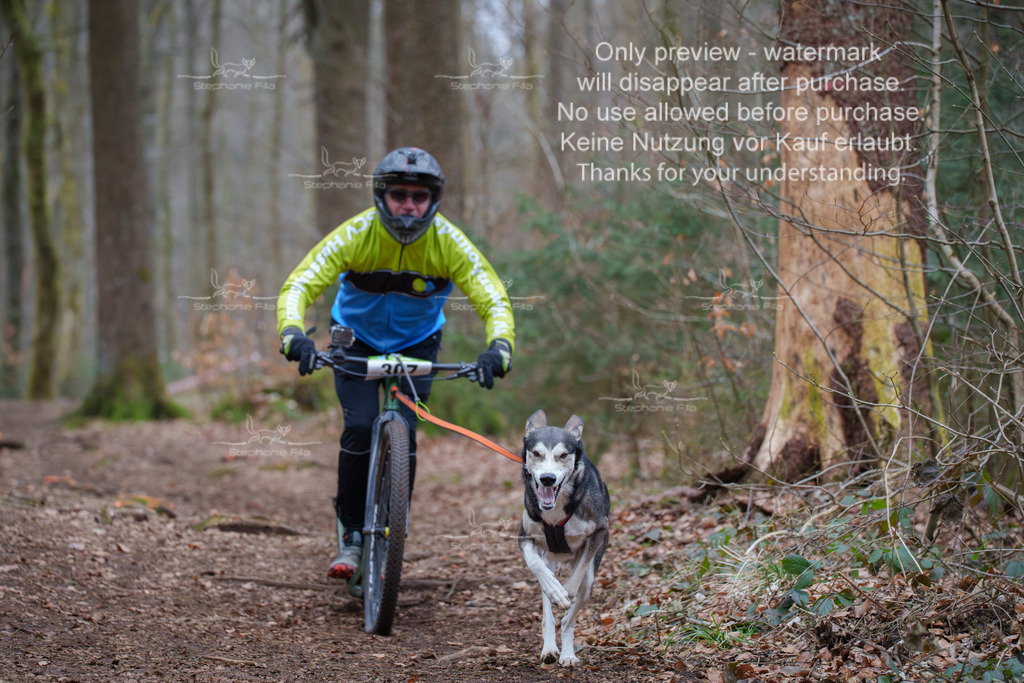 Scooter_So-59 | stephaniefillaphotographie - Realisiert mit Pictrs.com