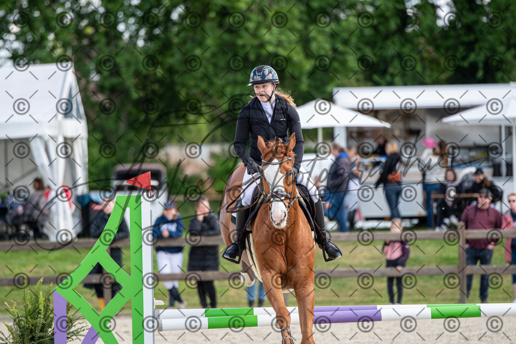 KPT_5054 | andre_photographic