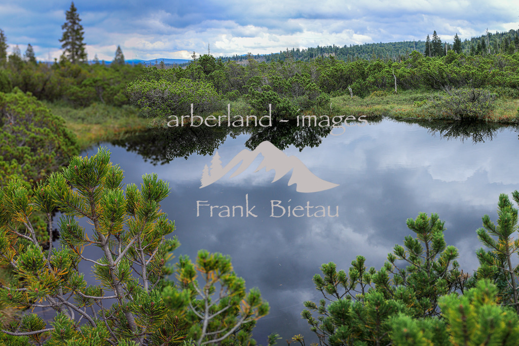 OE7A2568-Pano | Zwieselter oder auch Zwieseler Filz