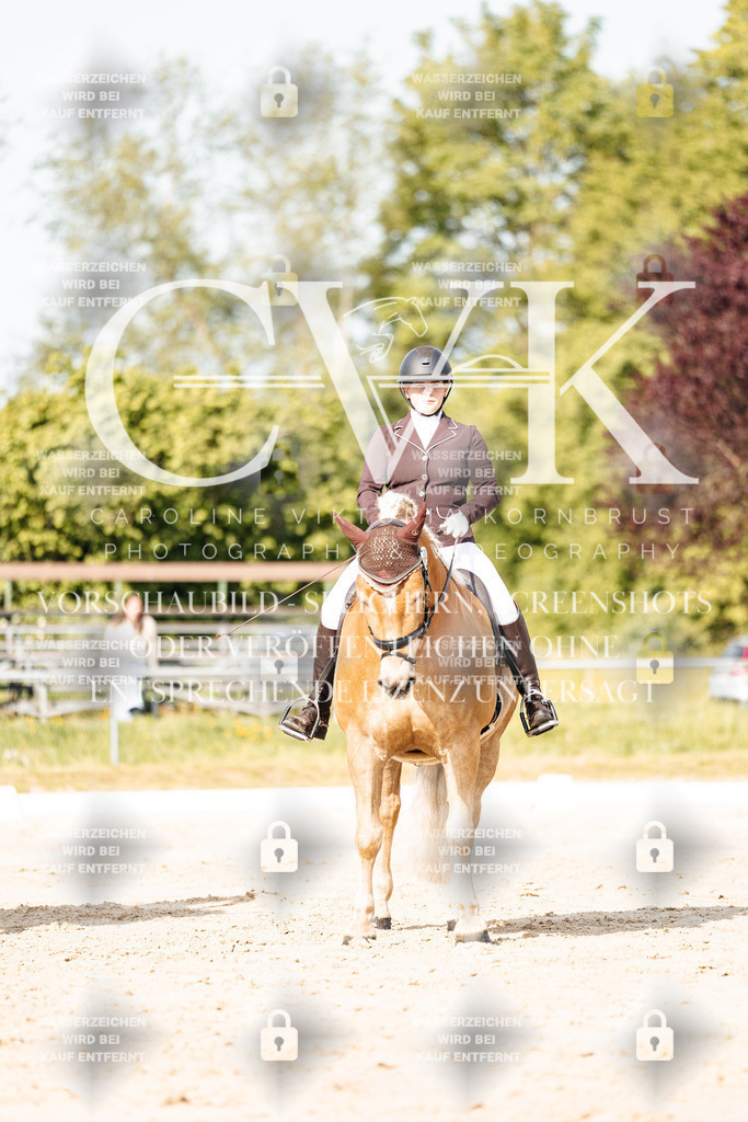 CK900182 | Turnierfotografie Pferdefotografie Trier Rheinland-Pfalz Pferdesport Reitsport Tierfotografie Sportfotografie Pferdevideo Pferdevideografie Equestrianvideography equestrianphotography  - Realisiert mit Pictrs.com