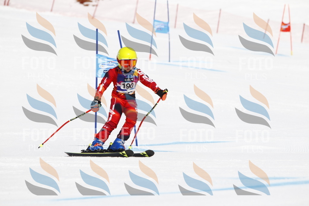 _U3G4983 | holidayphoto