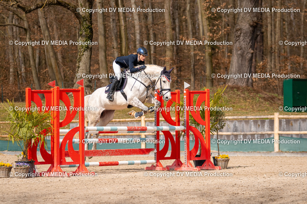 Kranichstein Tag 1-701 | dv-media-shop - Realisiert mit Pictrs.com