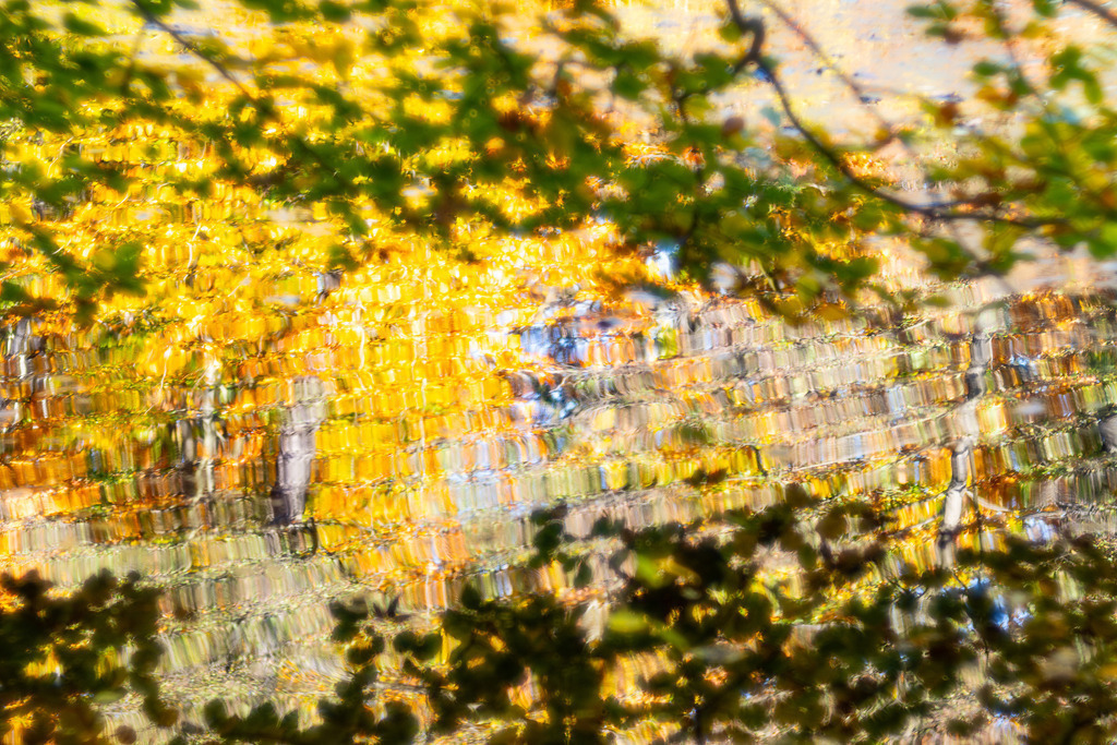 Glasperlenspiel | Glasige Reflexion von Herbstlaub auf Kuhlake - Realisiert mit Pictrs.com