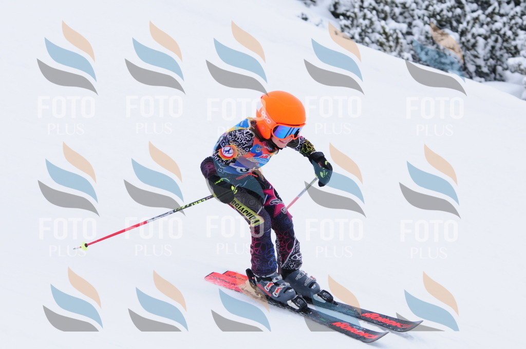 C3354 | holidayphoto