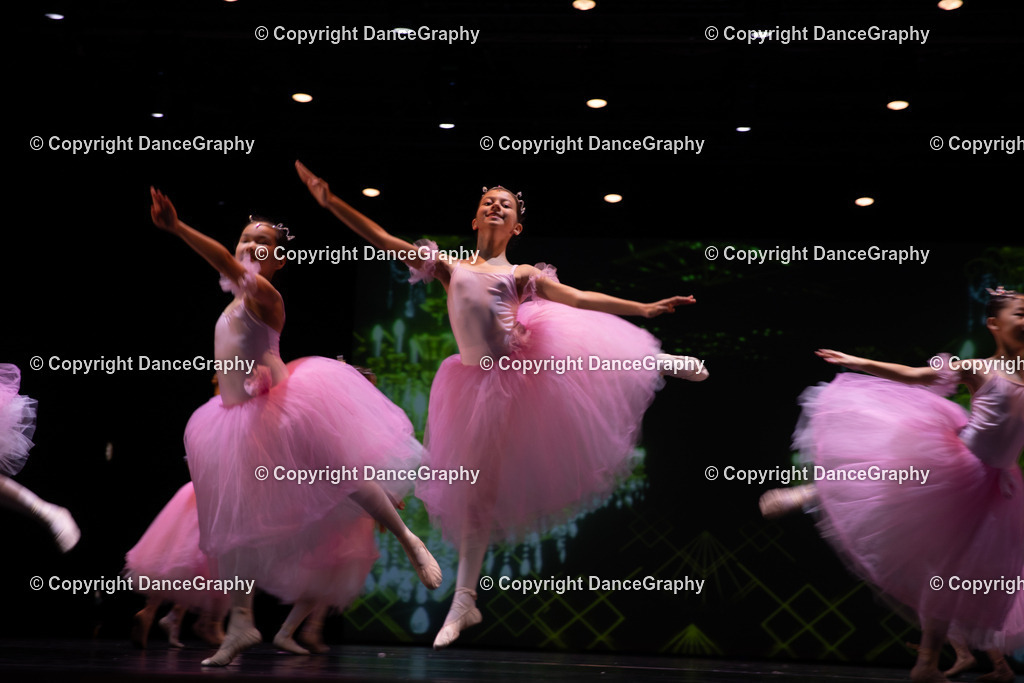 GPHY5664 | DanceGraphy - Realisiert mit Pictrs.com