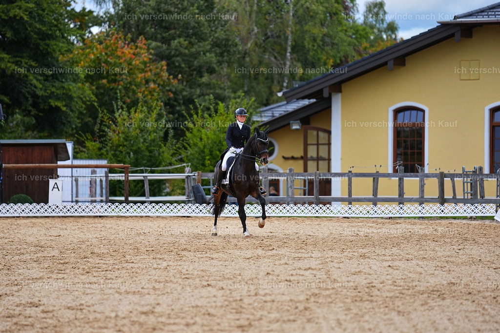 8_1-104-Klasse S_  -Marixx-4218 | working equitationturnier fotograf videograf stoibphotography marixx film working equitation deutschland reitsport turnierfotografie eventfotografie equestrian events