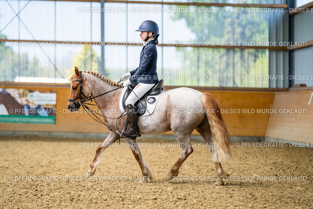 DSC02562 | Pferdegrafie