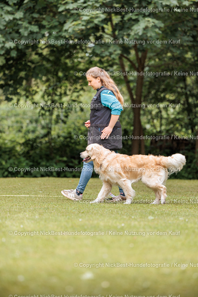 RO-Blumenthal-2026-Nickbest-Hundefotografie-3062 | Dein Hund! Dein Moment! Deine Erinnerungen! Hundefotografie in Bremen Blumenthal. Ich fange die besonderen Momente deines Vierbeiners ein – ob Indoor mit Blitzanlage oder in der freien Natur. Sicher dir dein Moment und dein Termin für eure Erinnerungen.
