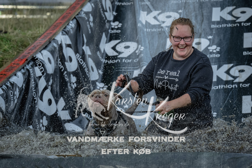 1602_ZZ91993 | kk-dogfotos