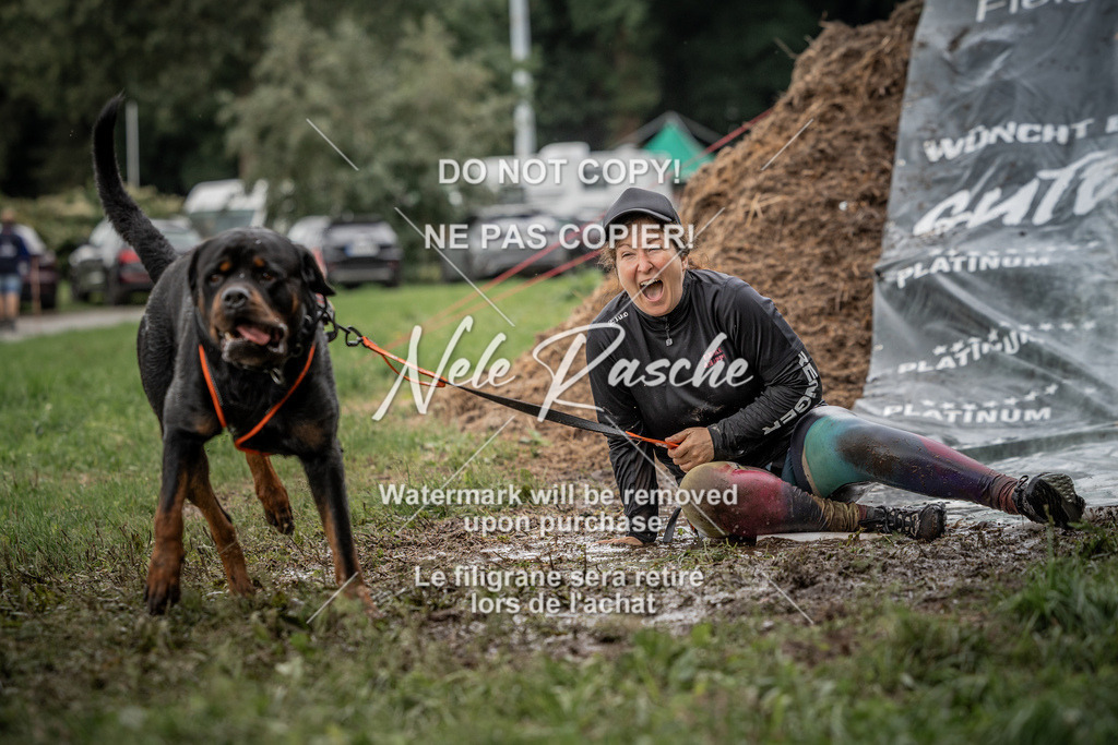 nelerasche_Wingst_Sa1300-1330_404 | nelerasche