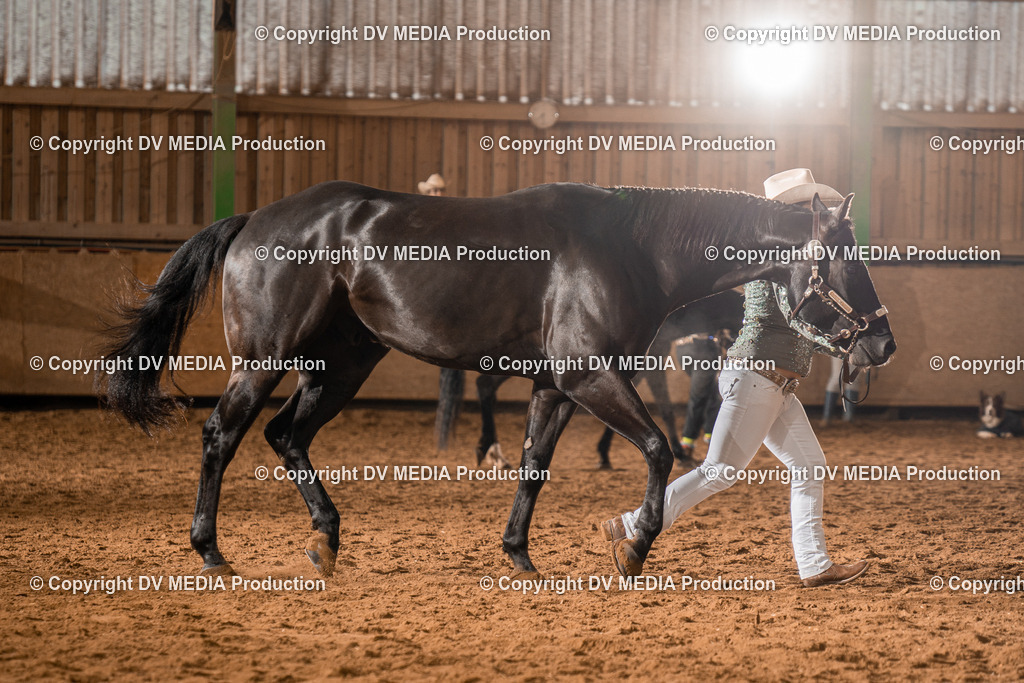 BAL01343 | dv-media-shop - Realisiert mit Pictrs.com