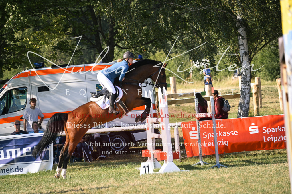 DSC_1617 | Pferde- und Turnierfotografie in Westsachsen. Pferdeportraits, Auftragszeichnungen und intuitive Kunst.