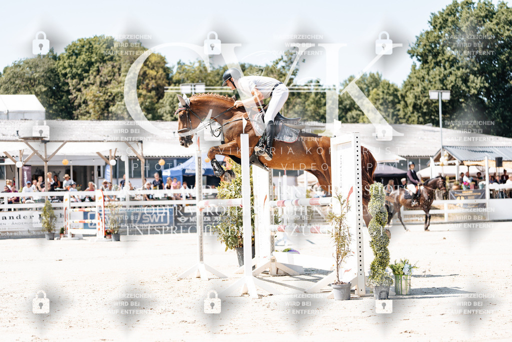 CK909414 | Turnierfotografie Pferdefotografie Trier Rheinland-Pfalz Pferdesport Reitsport Tierfotografie Sportfotografie Pferdevideo Pferdevideografie Equestrianvideography equestrianphotography  - Realisiert mit Pictrs.com