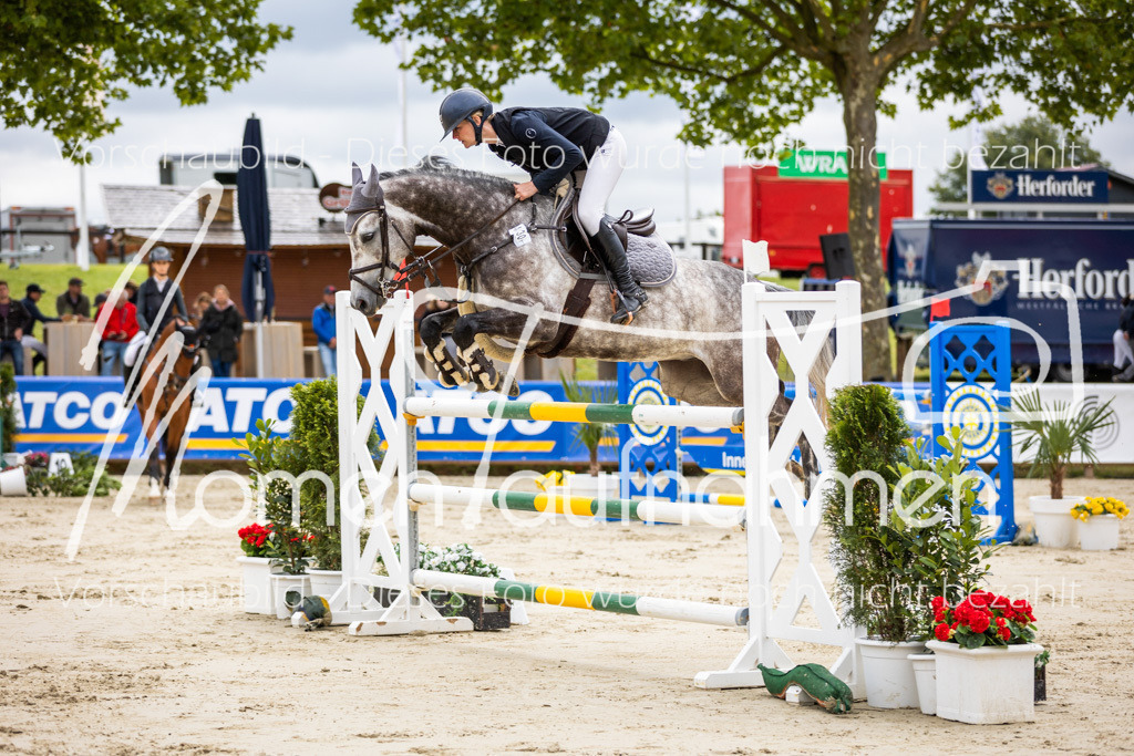 BHO-2PhSpr-M-5-2254 | MomenTaufnahmen Pferdesportfotos